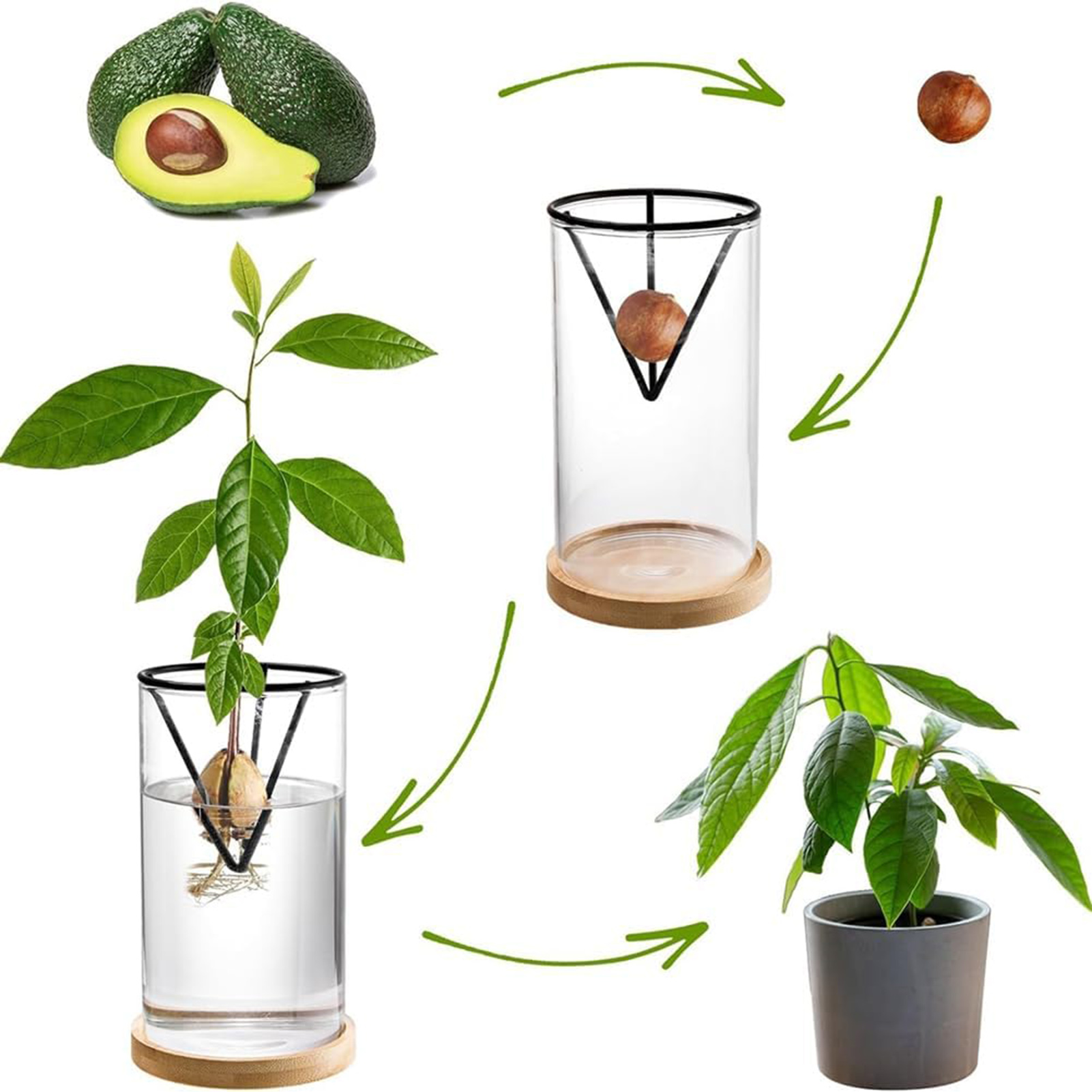 1Set Avocado Boom Groeiende Ki - Crystal Growing Kit recensie en prijs
