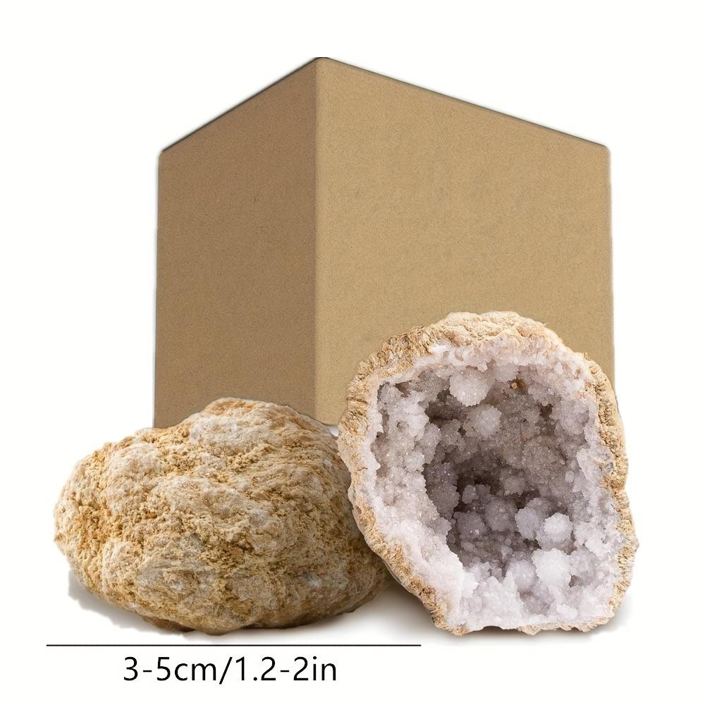5 stuks (1,2-2